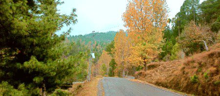 Kashmir