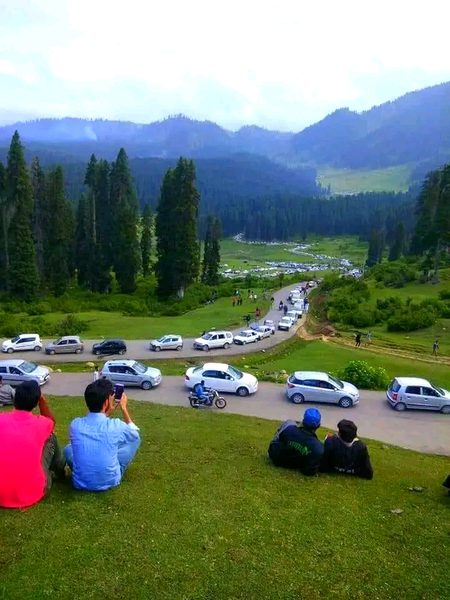 Beautiful Nature image