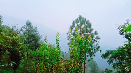 Beautiful Nature image
