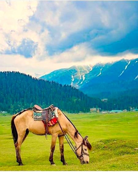 Beautiful Nature image