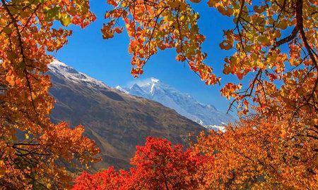 Beautiful Nature image