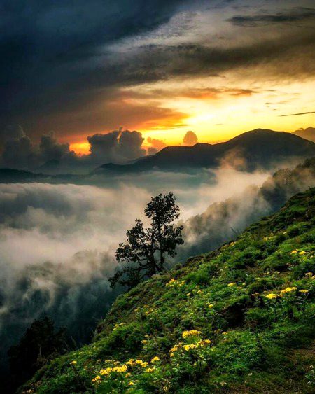 Beautiful Nature image