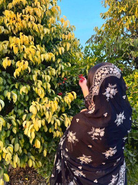 Beautiful Nature image