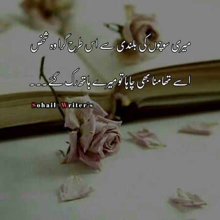 Romantic Poetry image