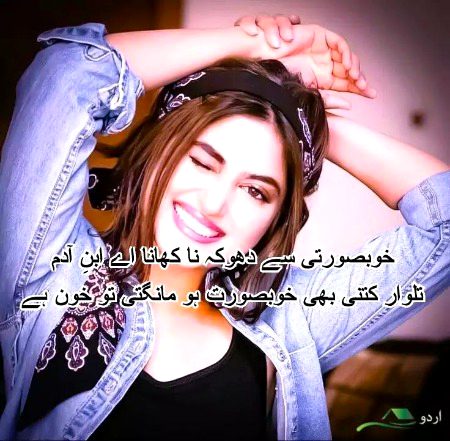 Attitude Quotes image