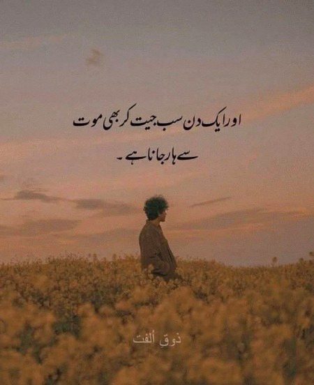 Sad Poetry image