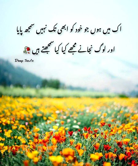 Attitude Poetry image