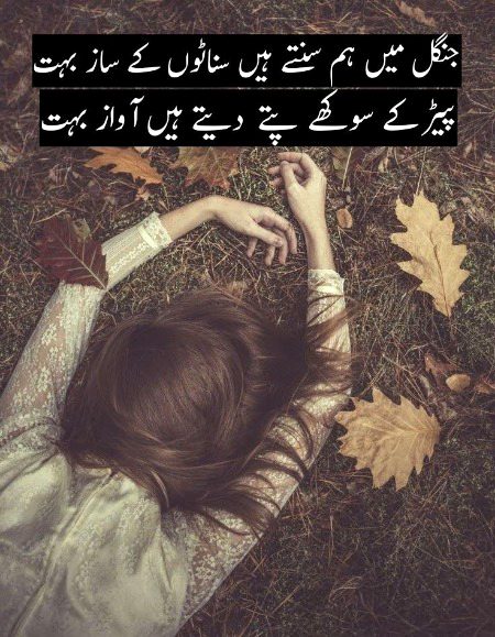 Sad Poetry image