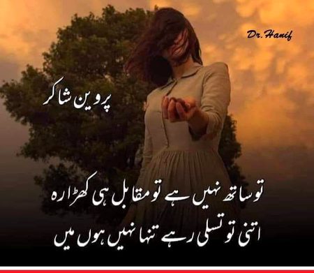 Sad Poetry image