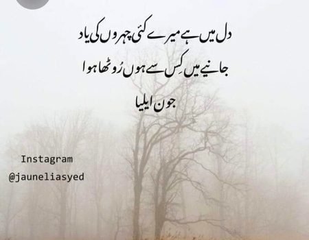 Sad Poetry image