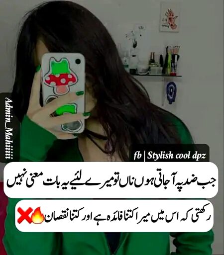 Attitude Quotes image