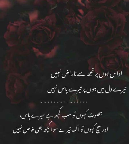 Sad Poetry image