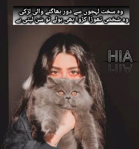 Attitude Poetry image