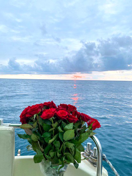 Beautiful Nature image