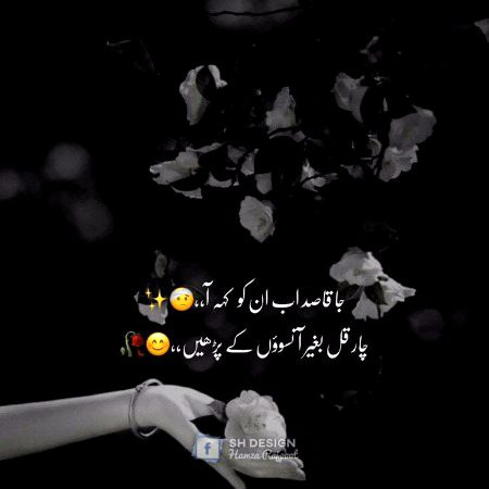 Sad Poetry image