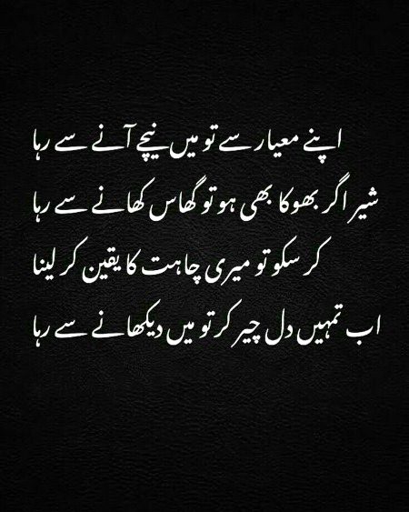 Attitude Poetry image