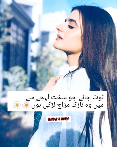 Attitude Poetry image