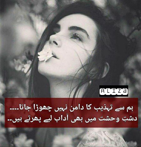 Attitude Poetry image