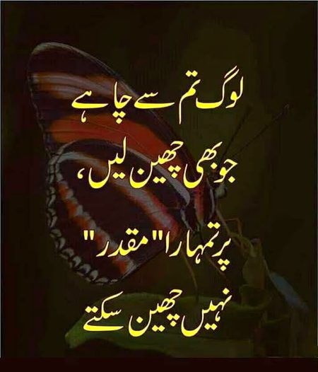 Motivational Quotes image