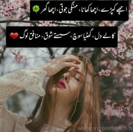 Attitude Poetry image