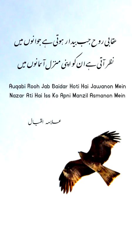 Motivational Quotes image