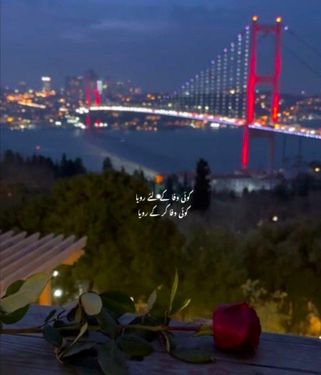 Sad Poetry image
