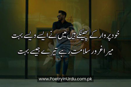 Attitude Poetry image