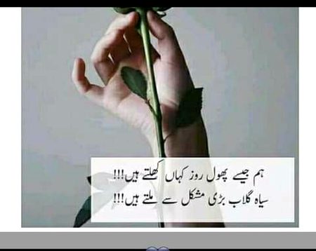 Attitude Poetry image
