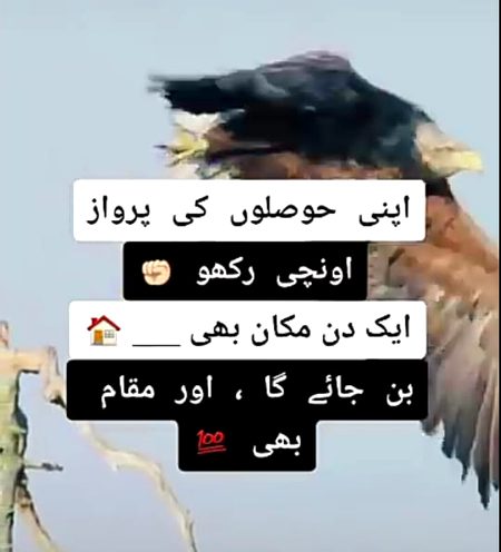 Poetry