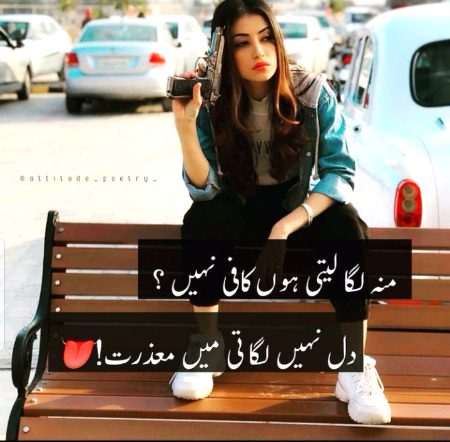 Attitude Quotes image