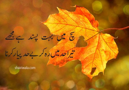Romantic Poetry image