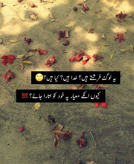 Attitude Poetry image