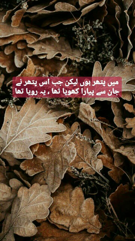 Sad Poetry image