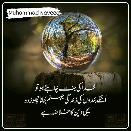 Islamic Quotes image