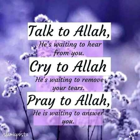 Islamic Quotes image