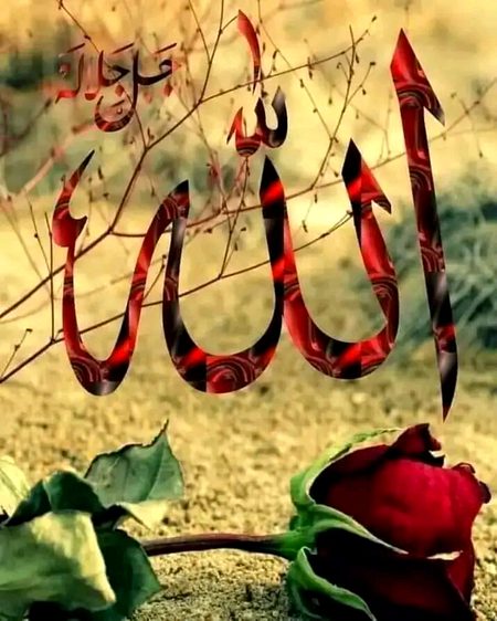 Islamic Quotes image