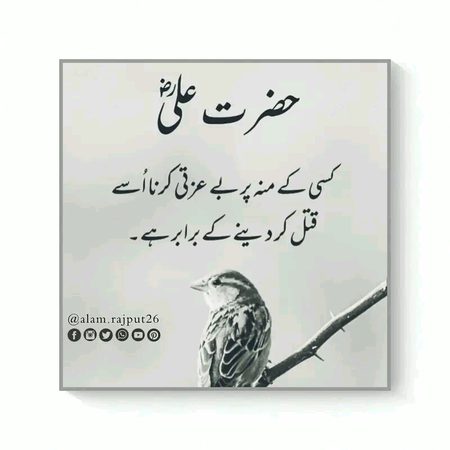 Islamic Quotes image