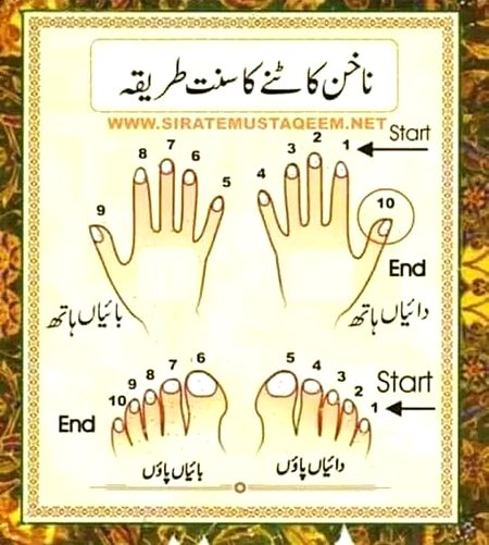 Islamic Quotes image