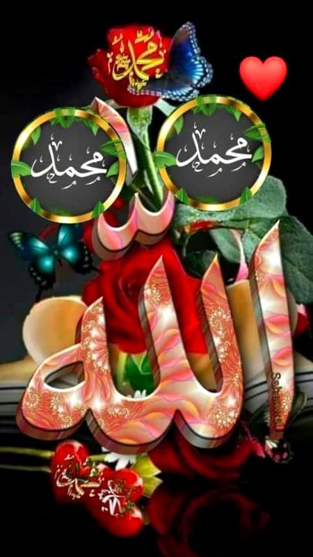 Islamic Quotes image