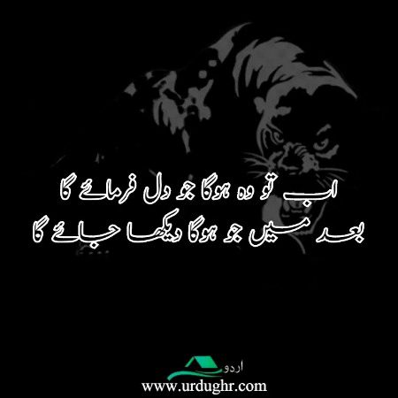 Attitude Poetry image