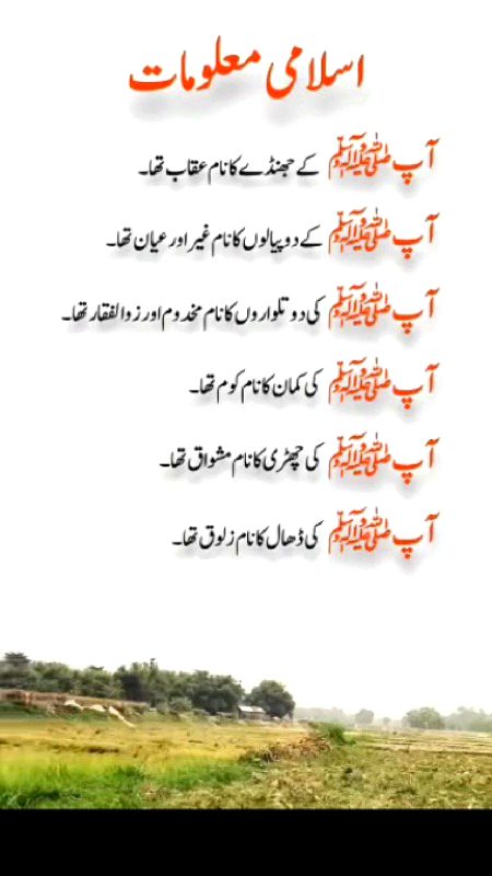 Islamic Quotes image
