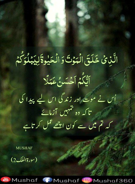 Islamic Quotes image