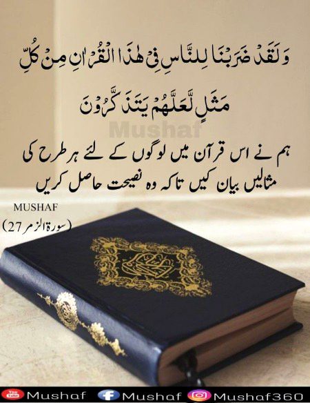 Islamic Quotes image