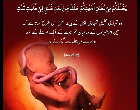 Islamic Quotes image