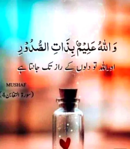 Islamic Quotes image