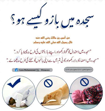 Islamic Quotes image