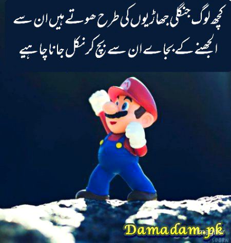 Life Advice image
