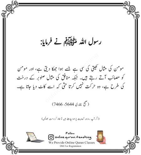 Islamic Quotes image