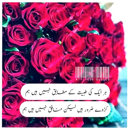Attitude Quotes image