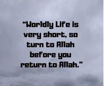 Islamic Quotes image